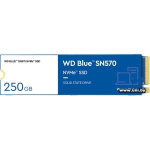 WD 250Gb M.2 PCI-E SSD WDS250G3B0C