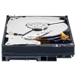 WD 1TB 3.5` SATA3 WD1003FBYX